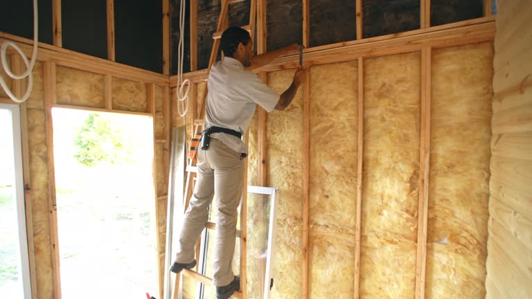 Best Spray Foam Insulation  in Livermore, CA