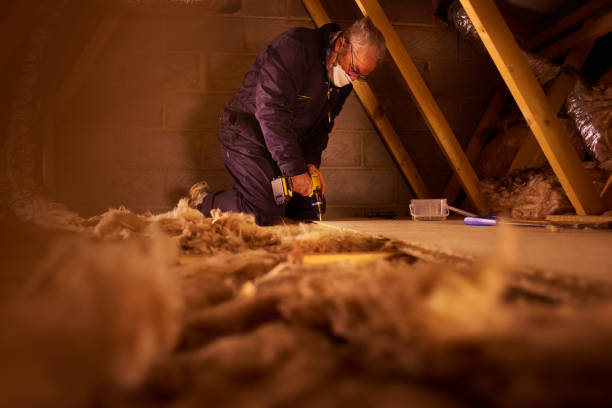 Best Basement Insulation  in Livermore, CA